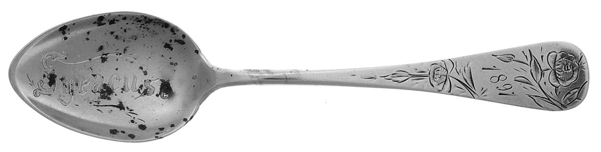 States & Cities Souvenir Spoons(Sterling) New York Demitasse Spoon by Hayward & Sweet-1