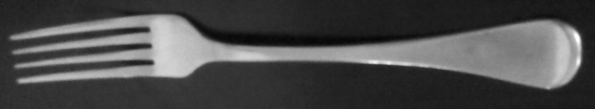 HSV180 (Stainless) Fork by Hampton Silversmiths-1