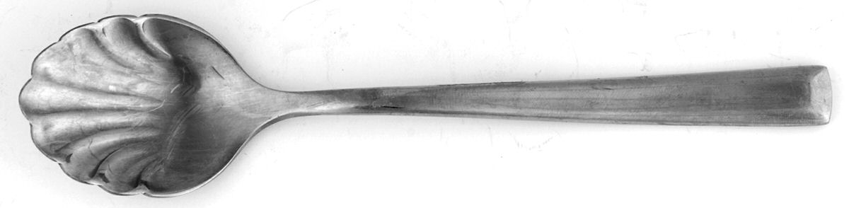 HTT6 (Stainless) Sugar Shell Spoon by Home (Target)-1