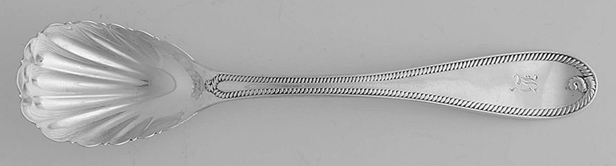 Cable (Coin) Sugar Shell Spoon by Henry L. Webster & Co-1