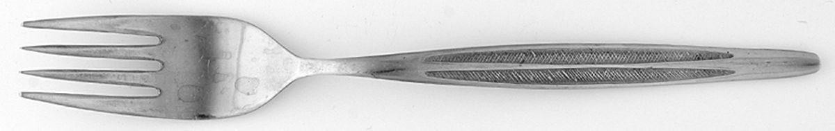 HUS25 (Stainless) Fork by Hull-1