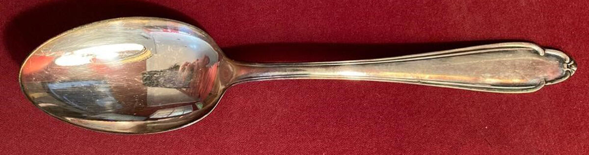 H3O1 (Stainless) Teaspoon by Haliso-1