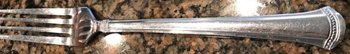 HSV231 (Stainless) Fork by Hampton Silversmiths-1