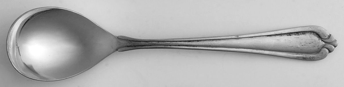 HCF8 (Stainless) Sugar Spoon by Home Concepts-1