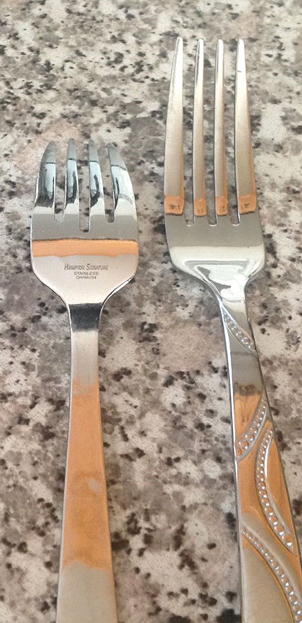 HSV240 (Stainless) Fork by Hampton Silversmiths-1