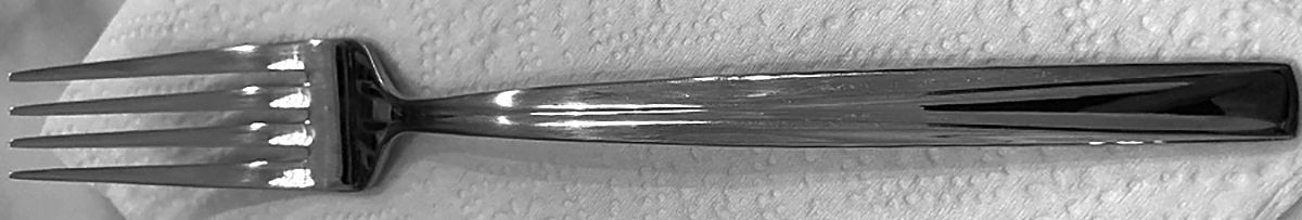 HSV246 (Stainless) Fork by Hampton Silversmiths-1