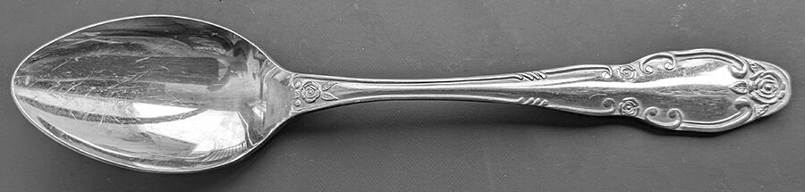 Charleston (Stainless) Teaspoon by Hanford Forge-1