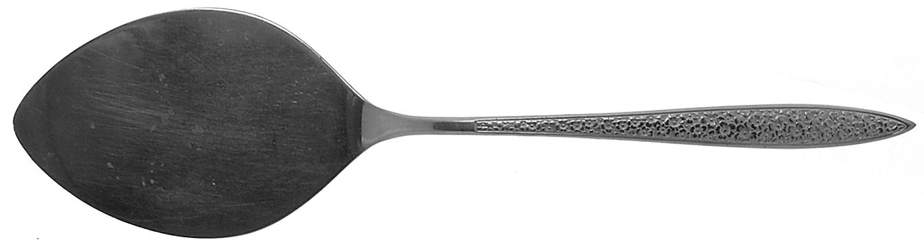 Bright Meadow (Stainless) All Stainless Pie Server by Imperial Intl-1