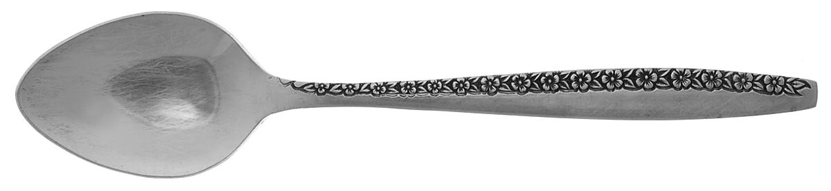 Early Spring (Stainless) Teaspoon by Imperial Intl-1