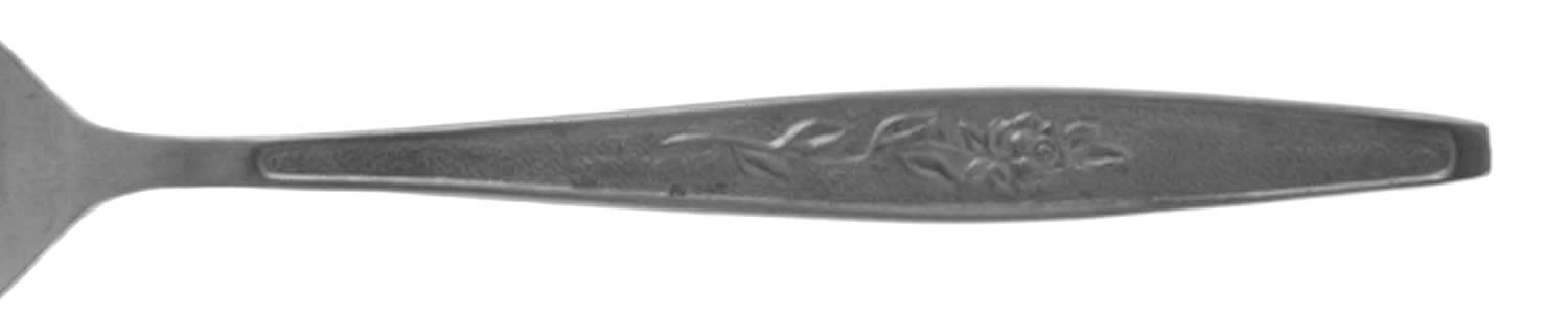 Misty Morn (Stainless) Teaspoon by Imperial Intl-1