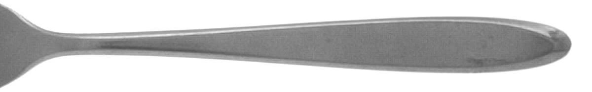 Satina (Stainless) Fork by Imperial Intl-1