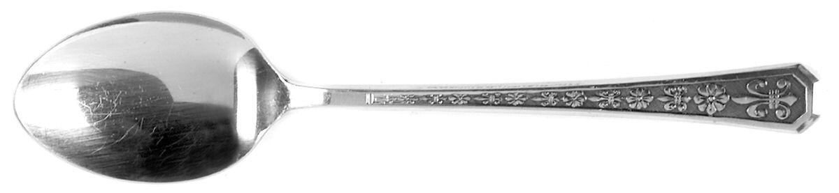 Florenz (Stainless) Tablespoon (Serving Spoon) by Interpur-1