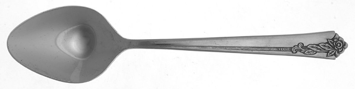 INR21 (STAINLESS) Teaspoon by Interpur-1