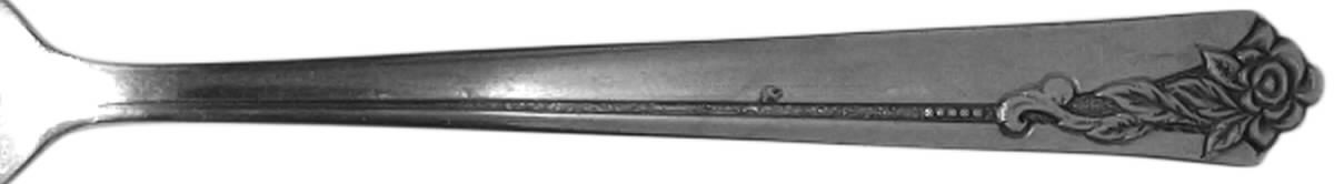 INR21 (STAINLESS) Fork by Interpur-1