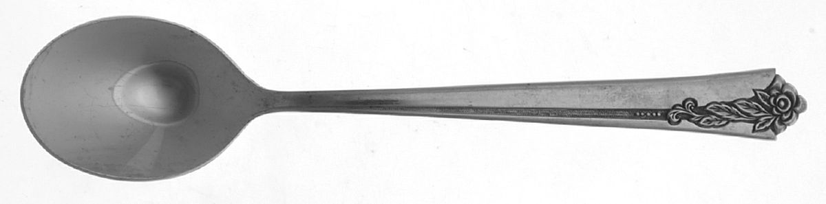 INR21 (STAINLESS) Sugar Spoon by Interpur-1