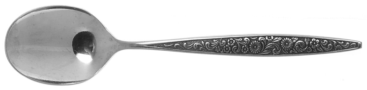 INR22 (STAINLESS) Sugar Spoon by Interpur-1
