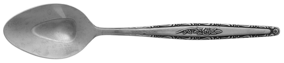 INR3 (STAINLESS) Teaspoon by Interpur-1