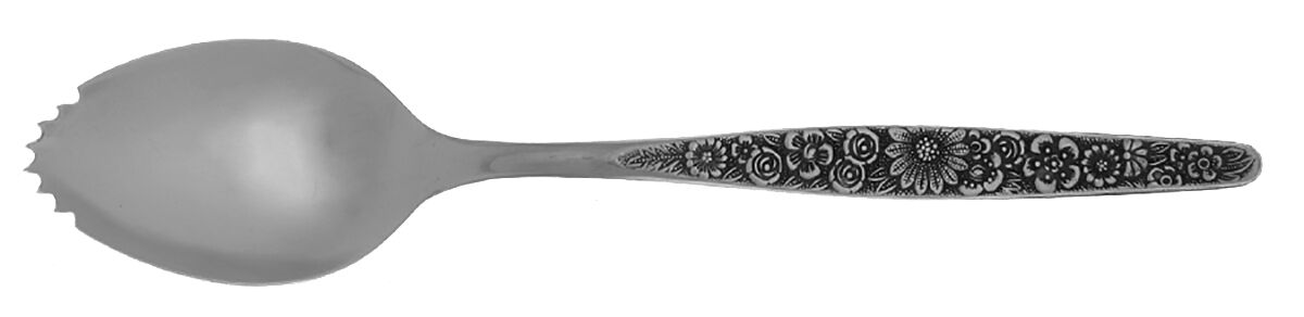 Jardinera (Stainless) Fruit/Orange Spoon Individual, Serrated Bowl HC by Interpur-1
