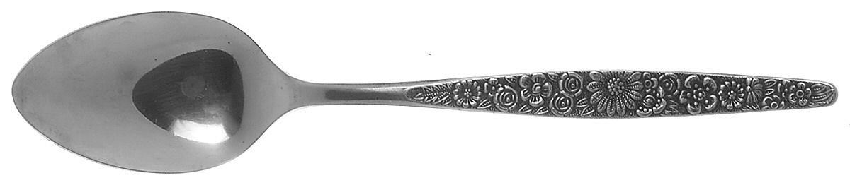 Jardinera (Stainless) Teaspoon by Interpur-1