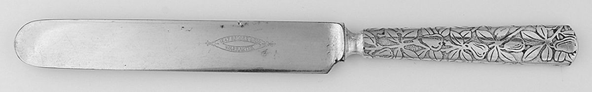 INS624 (Silverplate) Blunt Solid Knife by International Silver-1