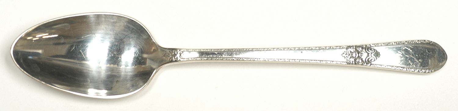 Adoration (Silverplate, No Monograms) Teaspoon by International Silver-1