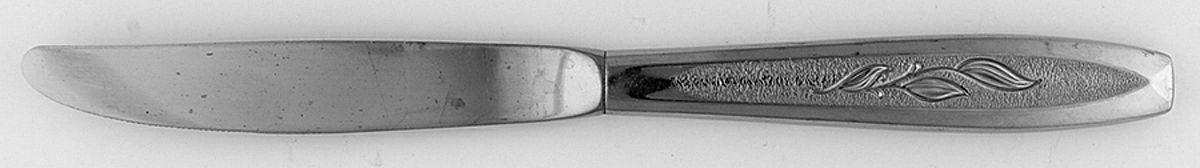 Allure (Stainless, Insico) Modern Hollow Knife by International Silver-1