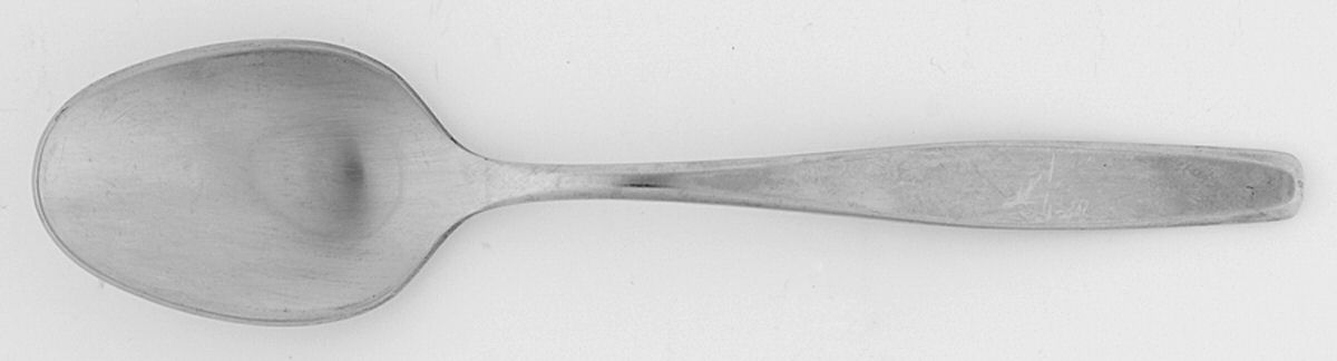 American Charm (Stainless) Teaspoon by International Silver-1