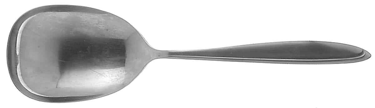 Americana (Stainless, Deluxe) Solid Smooth Casserole Spoon by International Silver-1