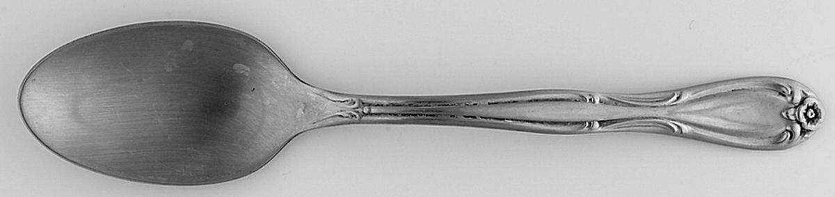 Americana Heritage (Stainless) Teaspoon by International Silver-1