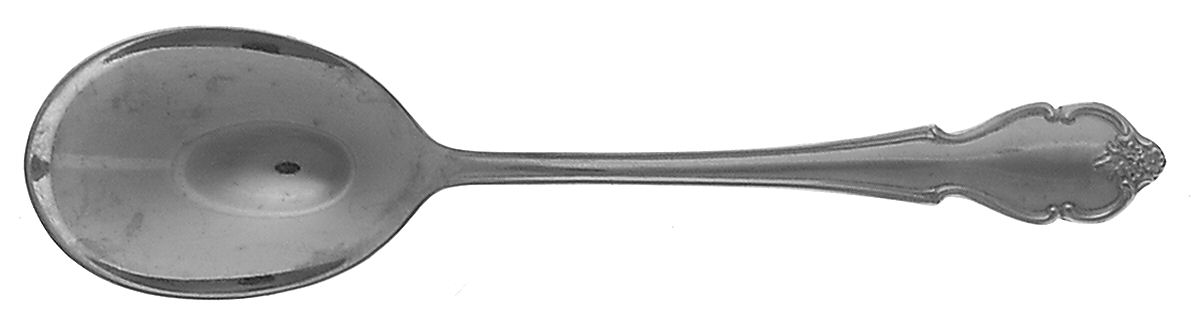 American Rose (Stainless) Sugar Spoon by International Silver-1