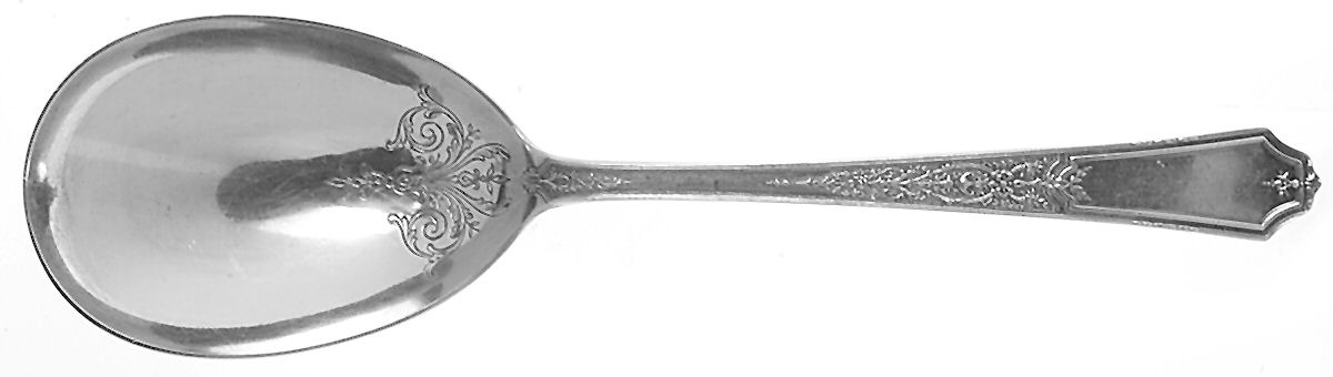 Ancestral (Silverplate, 1924) Solid Smooth Berry/Casserole Spoon by International Silver-1