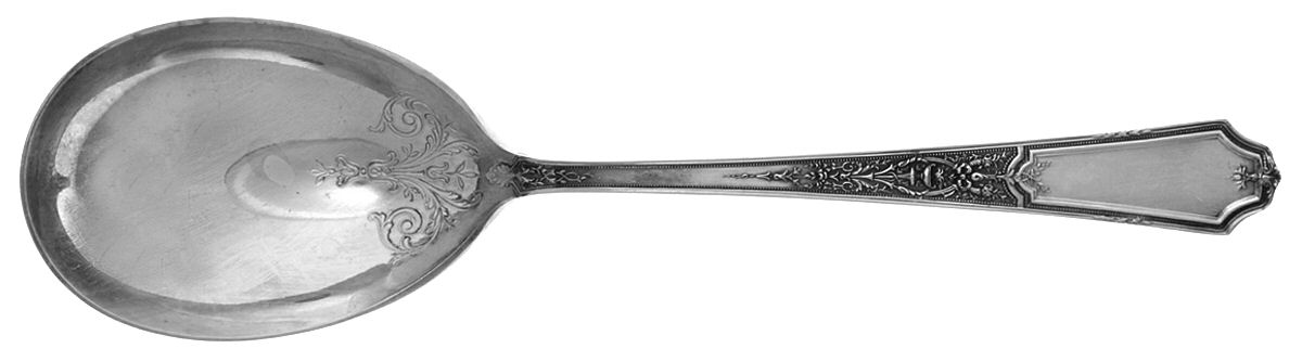 Ancestral (Silverplate, 1924) Preserve Spoon by International Silver-1
