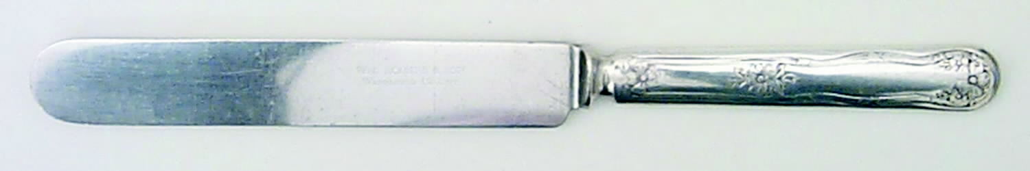 Arbutus (Silverplate, 1908, No Monograms) Blunt Solid Knife by International Silver-1