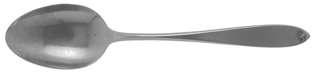 Ashford (Stainless) Tablespoon (Serving Spoon) by International Silver-1
