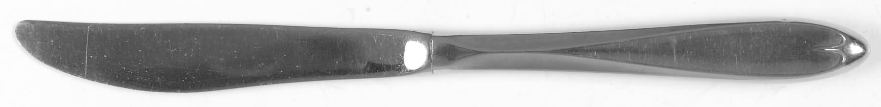 Ashford (Stainless) Modern Hollow Knife by International Silver-1