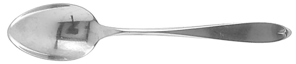 Ashford (Stainless) Teaspoon by International Silver-1