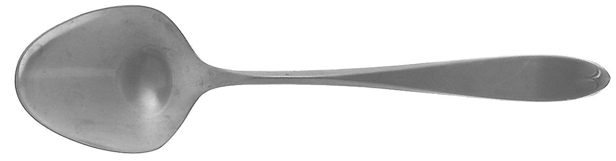 Ashford (Stainless) Sugar Spoon by International Silver-1