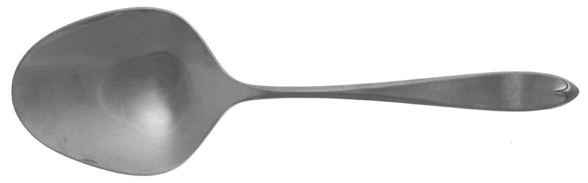 Ashford (Stainless) Solid Smooth Casserole Spoon by International Silver-1