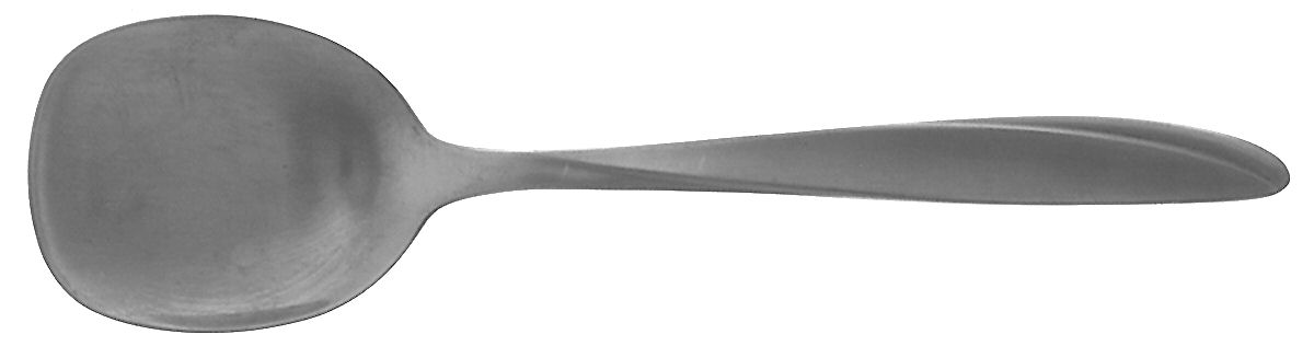 Beacon Hill (Stainless) Sugar Spoon by International Silver-1