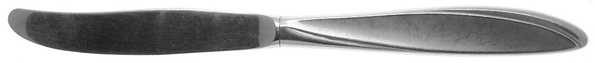 Beacon Hill (Stainless) Modern Hollow Knife by International Silver-1