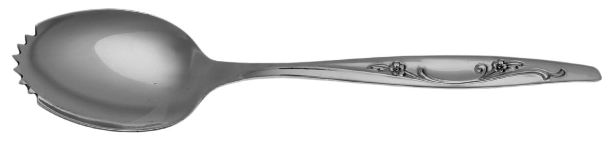 Belle Isle (Stainless) Fruit/Orange Spoon Individual, Serrated Bowl HC by International Silver-1