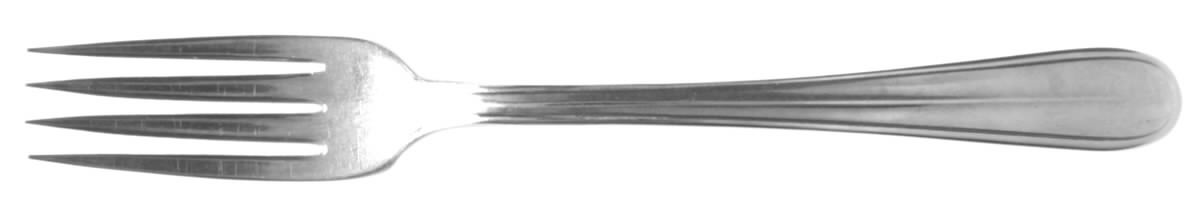 Bradford (Stainless) Fork by International Silver-1