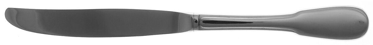 Branford (Stainless) Modern Hollow Knife by International Silver-1