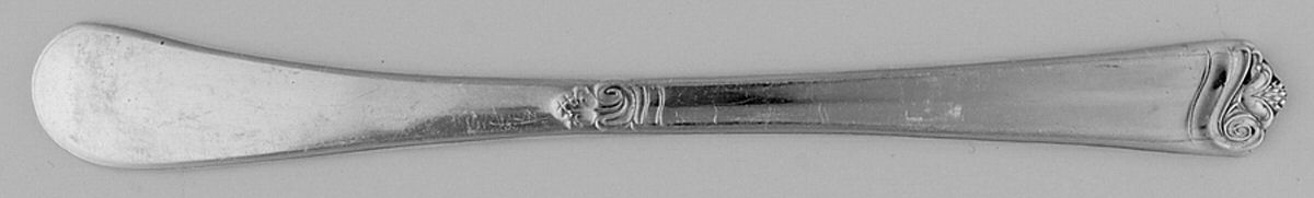 Bright Future (Silverplate, 1954) Flat Handle Butter Spreader by International Silver-1