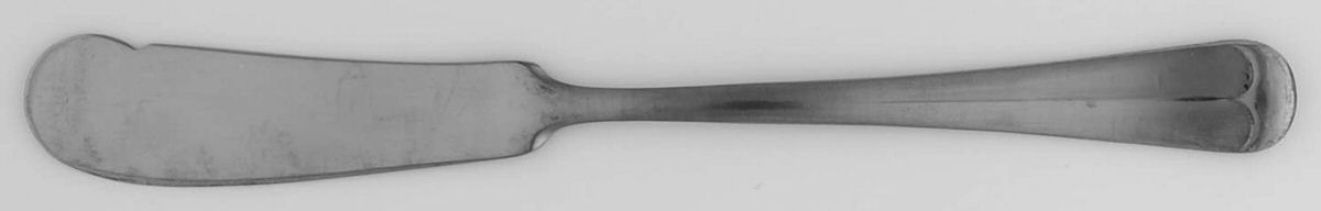Cape Cod (Stainless) Flat Handle Butter Spreader by International Silver-1