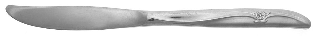 Caprice (Stainless) Modern Solid Knife by International Silver-1
