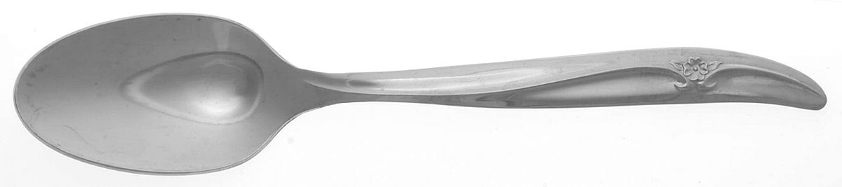 Caprice (Stainless) Teaspoon by International Silver-1