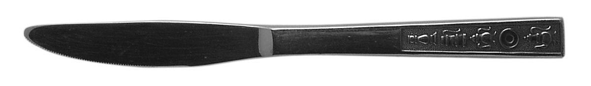 Century House (Stainless) Modern Solid Knife by International Silver-1