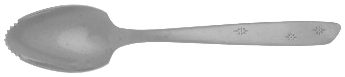 Celestial (Stainless) Fruit/Orange Spoon by International Silver-1