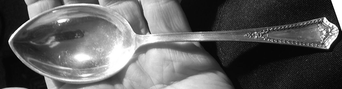 Chesterfield (Sterling, 1914) Preserve Spoon by International Silver-1